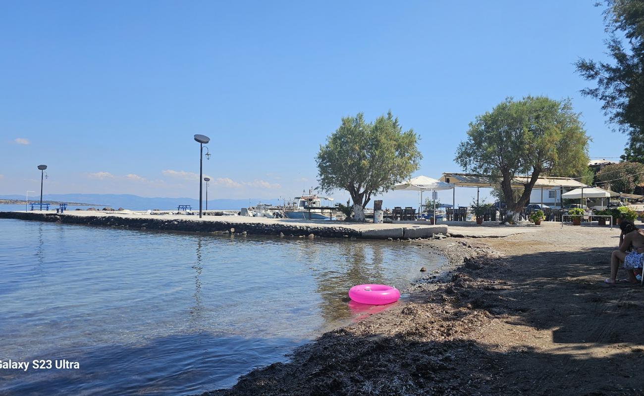 Paralia Geni Limani'in fotoğrafı açık bej kum yüzey ile