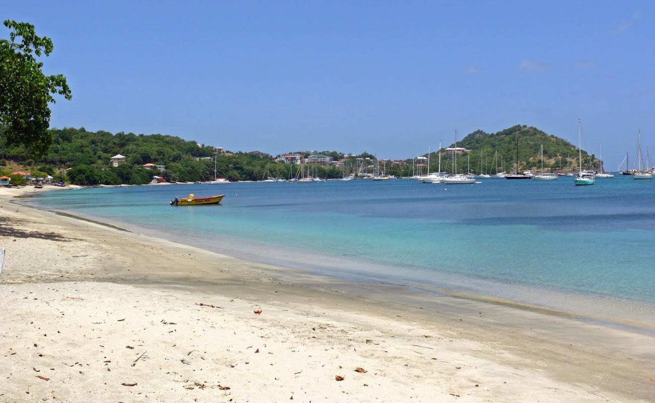 Tyrell Bay beach'in fotoğrafı açık bej kum yüzey ile