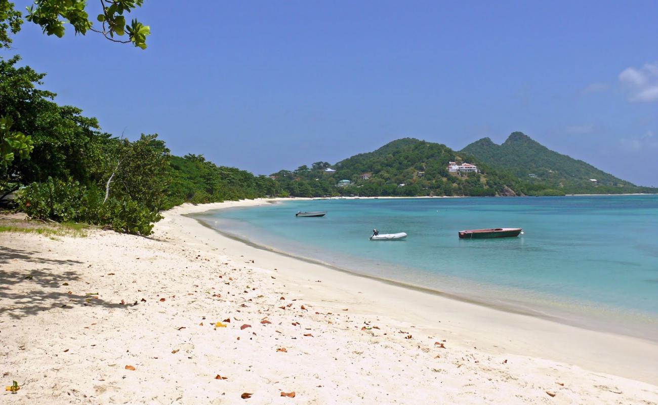 Paradise beach'in fotoğrafı parlak ince kum yüzey ile