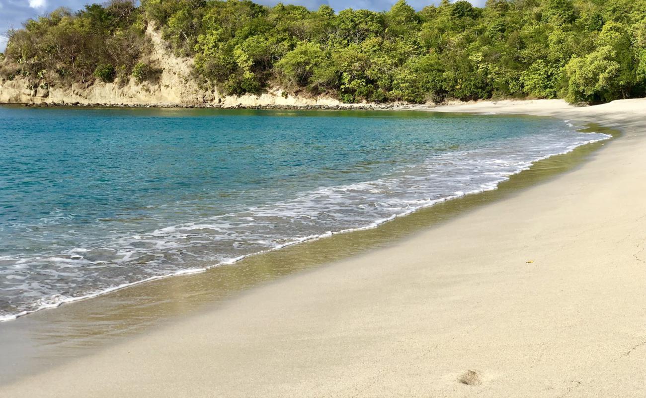 Anse La Roche Bay beach'in fotoğrafı açık bej kum yüzey ile