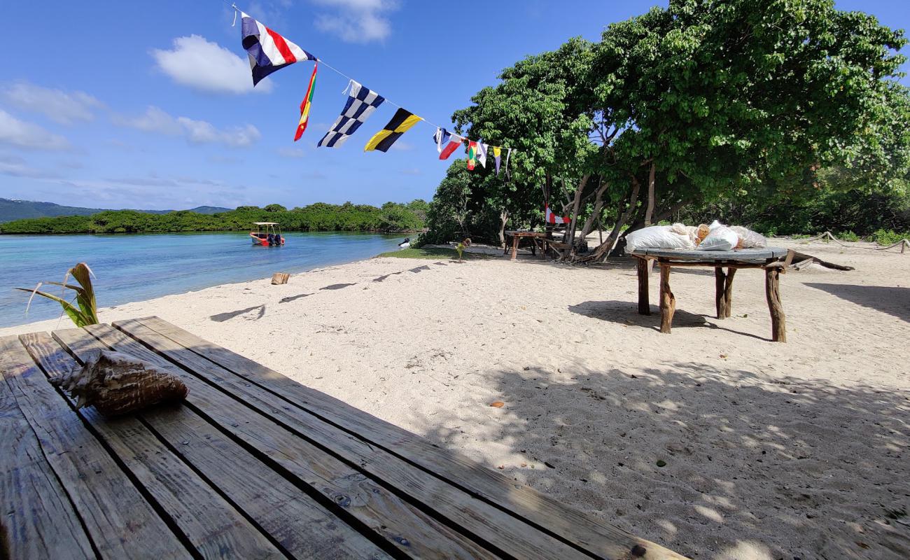 Saline Island beach'in fotoğrafı açık bej kum yüzey ile