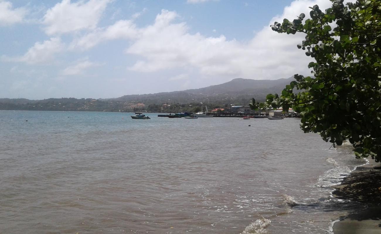Grenville Bay beach'in fotoğrafı gri kum yüzey ile