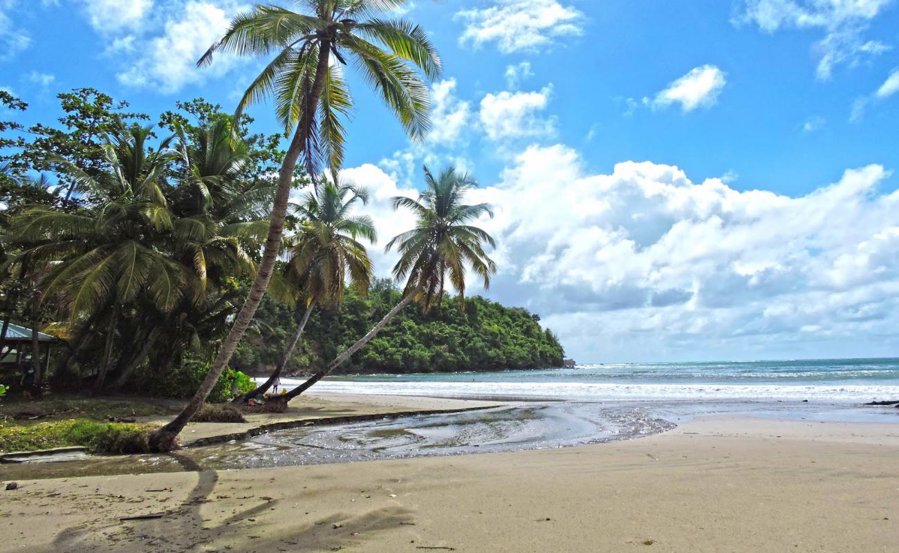 La Sagesse beach'in fotoğrafı i̇nce bej kum yüzey ile
