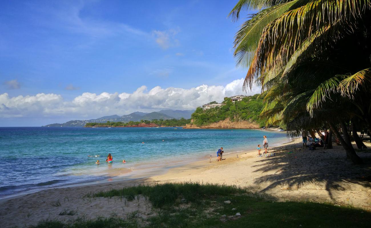 Morne Rouge beach II'in fotoğrafı açık bej kum yüzey ile
