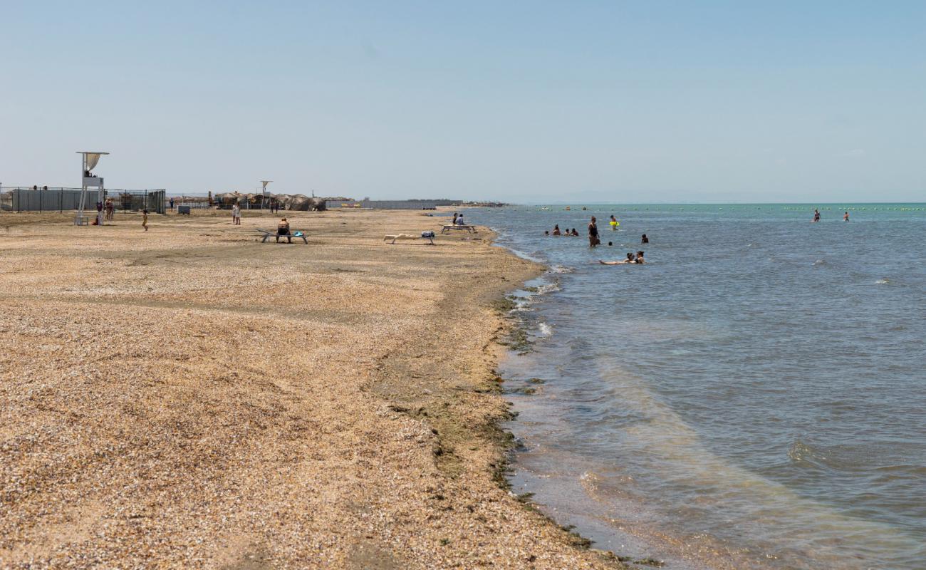 SeaZone Beach'in fotoğrafı bej kabuklu kum yüzey ile