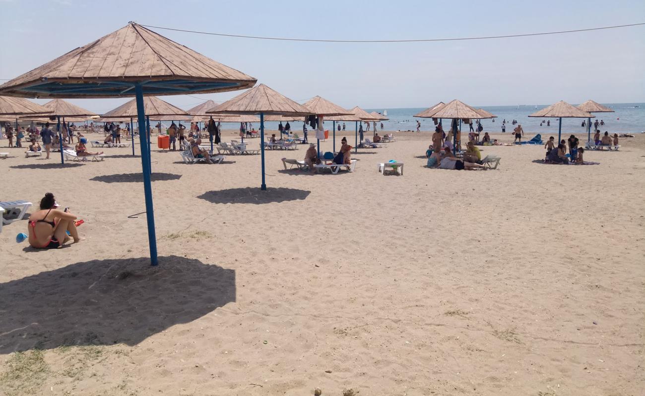 Shikh Beach'in fotoğrafı parlak kabuk kumu yüzey ile