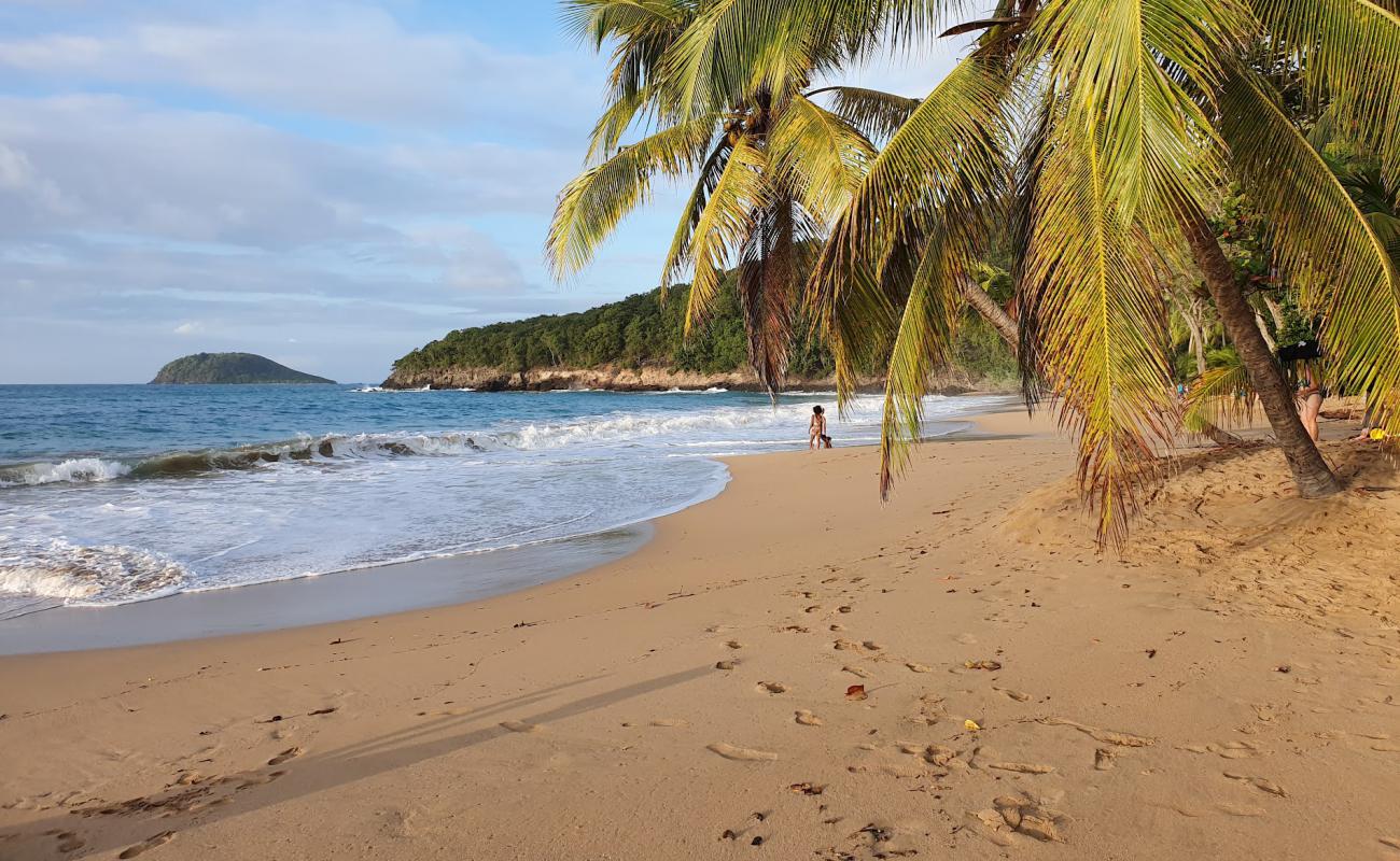 Plage de la Perle'in fotoğrafı kahverengi kum yüzey ile