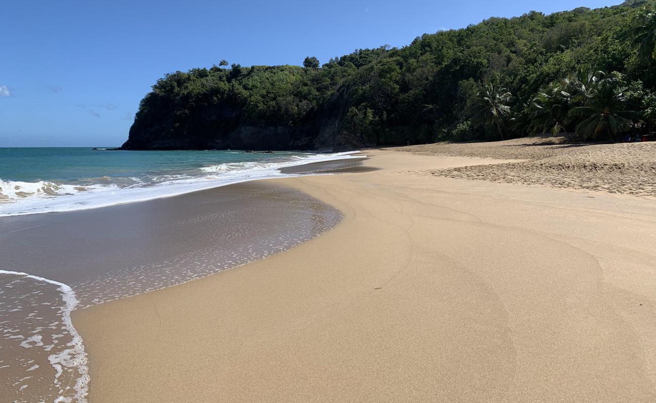 Plage de Tillet'in fotoğrafı kahverengi kum yüzey ile