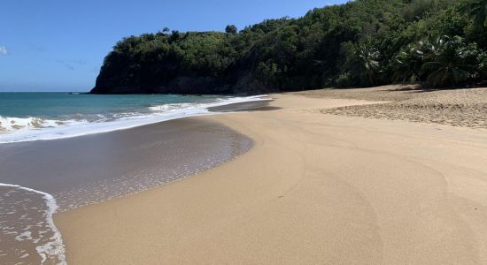 Plage de Tillet