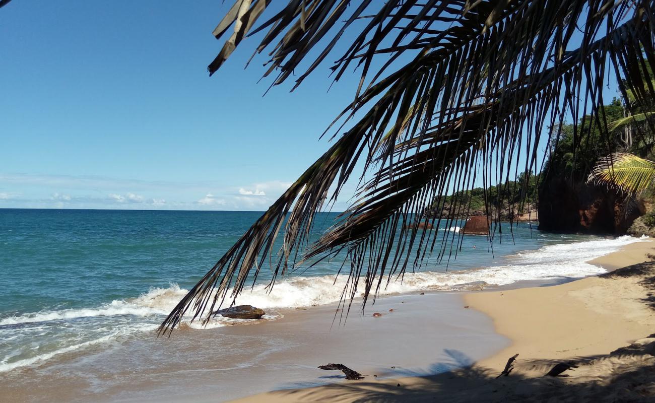 Plage Naturiste'in fotoğrafı kahverengi kum yüzey ile