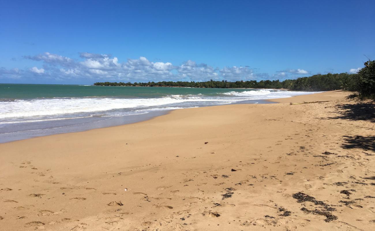 Plage de Cluny'in fotoğrafı i̇nce kahverengi kum yüzey ile