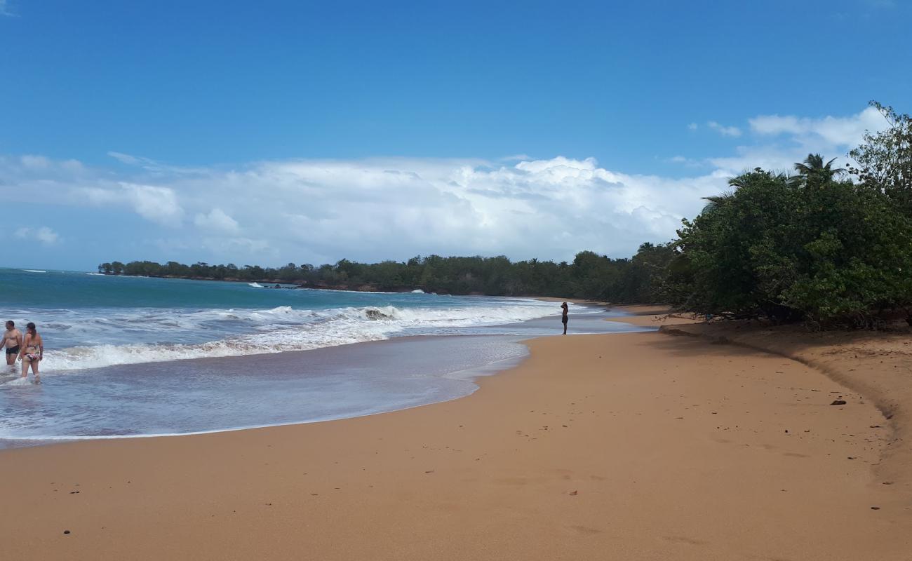 Plage de Cluny II'in fotoğrafı kahverengi kum yüzey ile