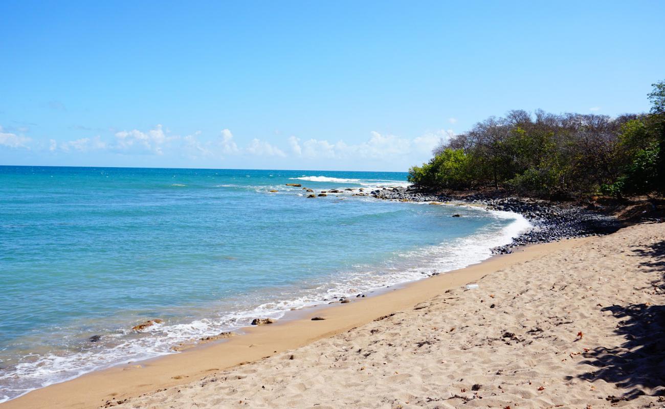 Anse des Iles beach'in fotoğrafı kahverengi kum yüzey ile