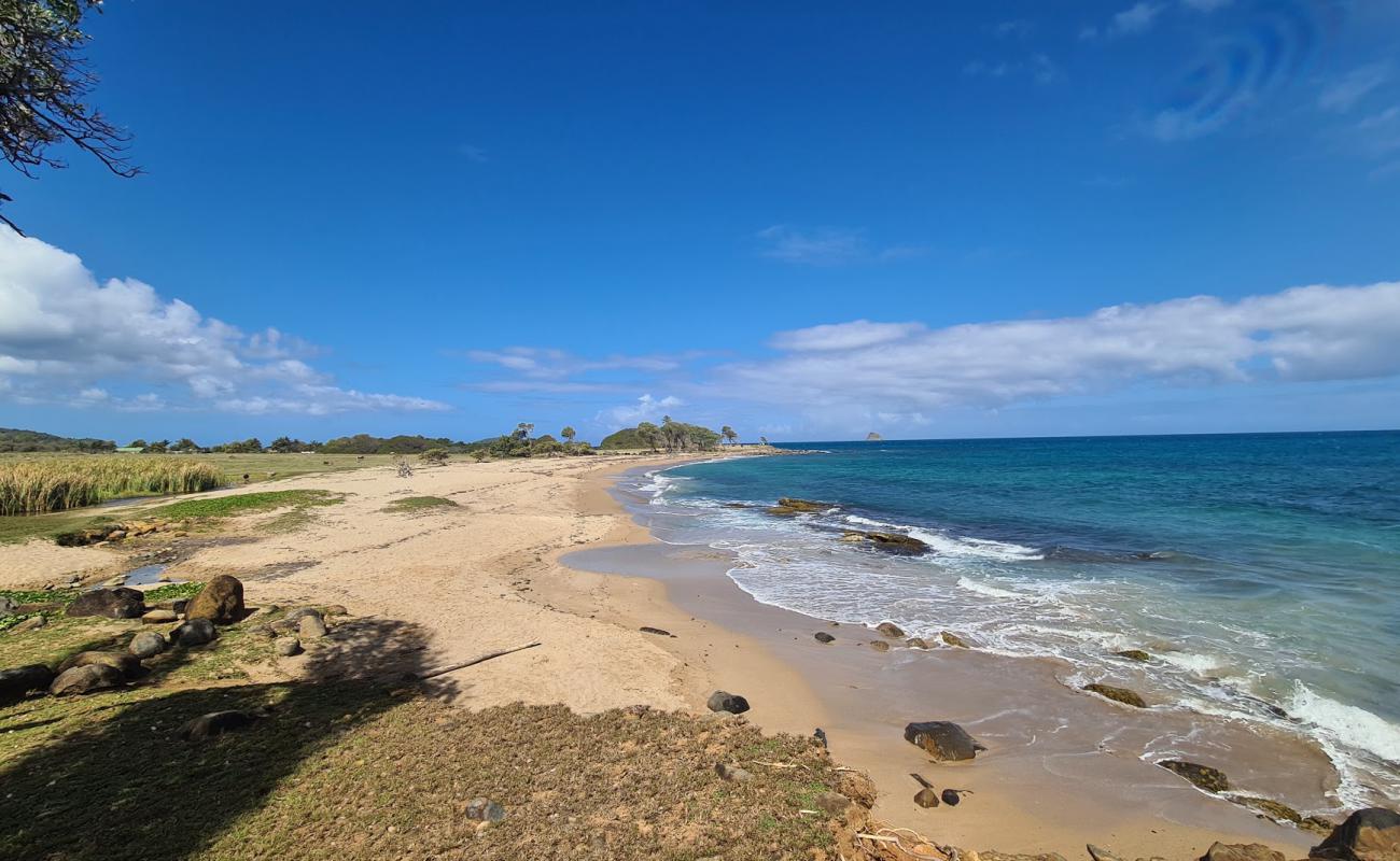 Anse du Petit Fort Beach'in fotoğrafı kahverengi kum yüzey ile