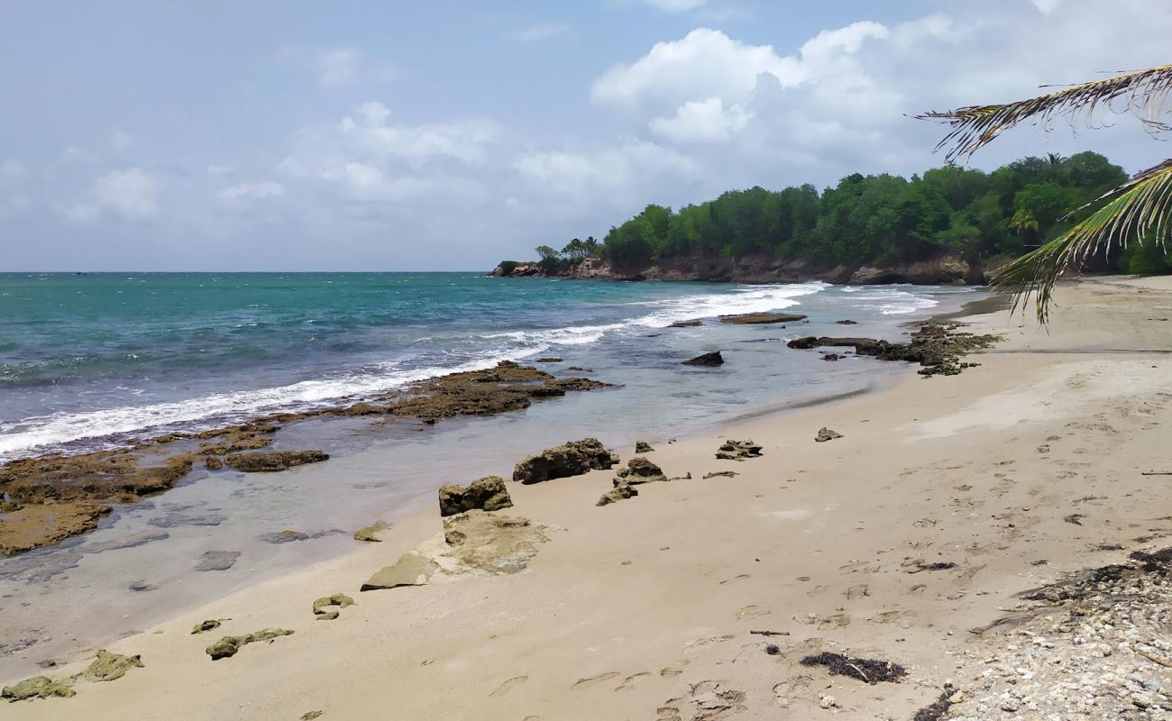 Plage de Nogent'in fotoğrafı kahverengi kum yüzey ile