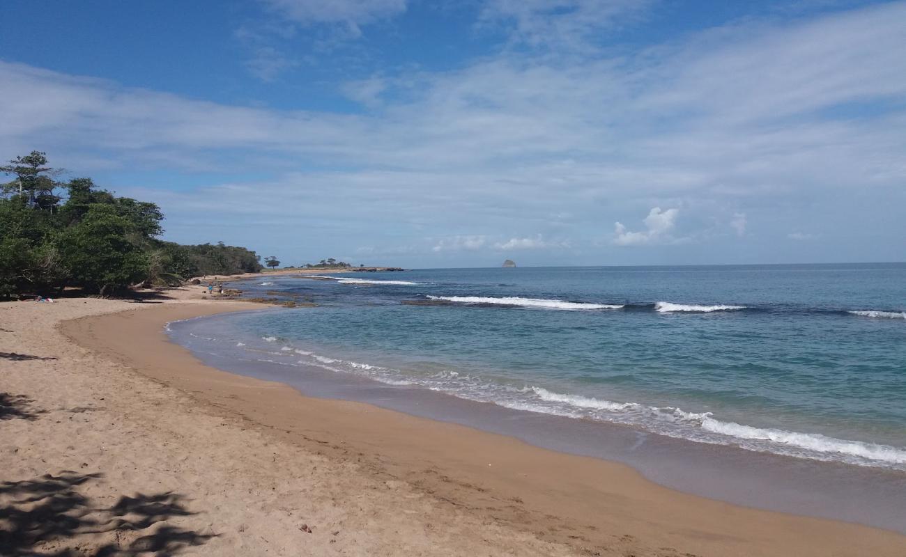 Anse Vinty Beach'in fotoğrafı kahverengi kum yüzey ile