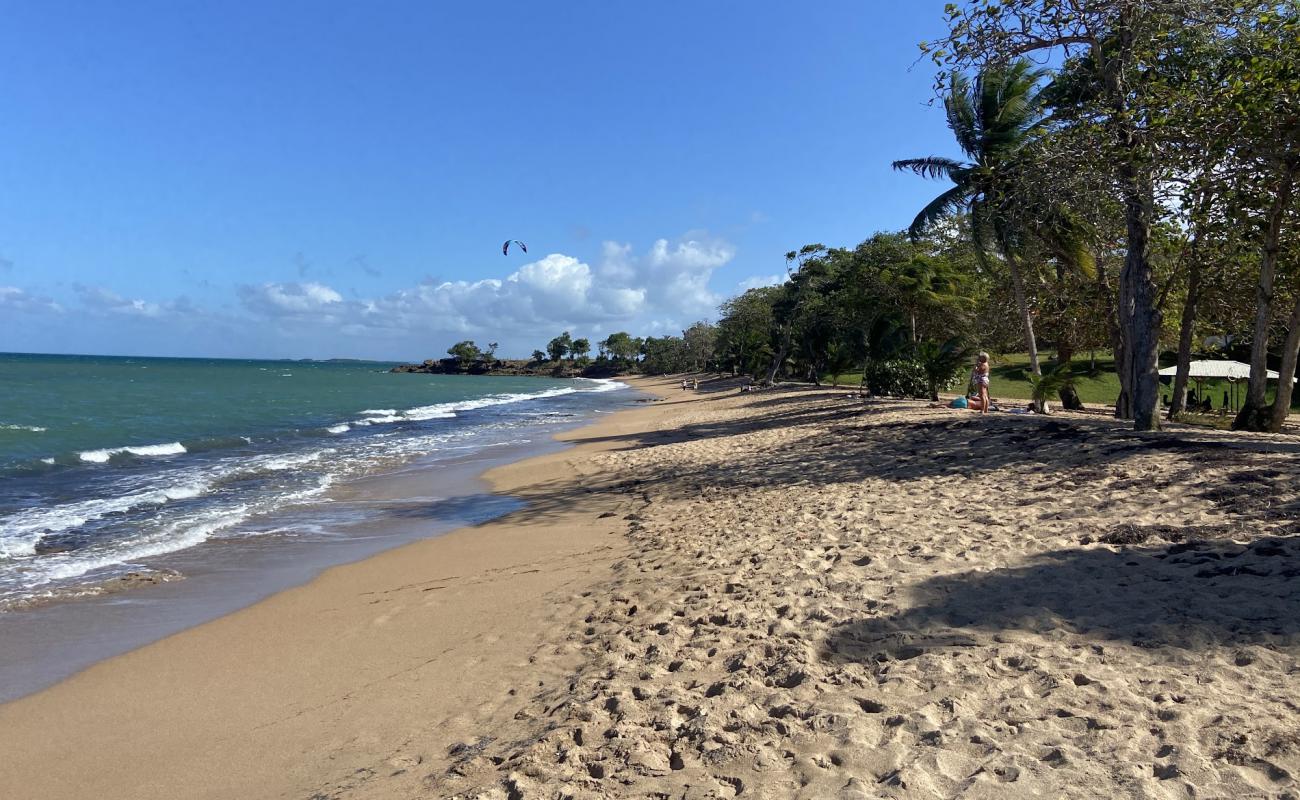Plage des Amandiers'in fotoğrafı i̇nce kahverengi kum yüzey ile