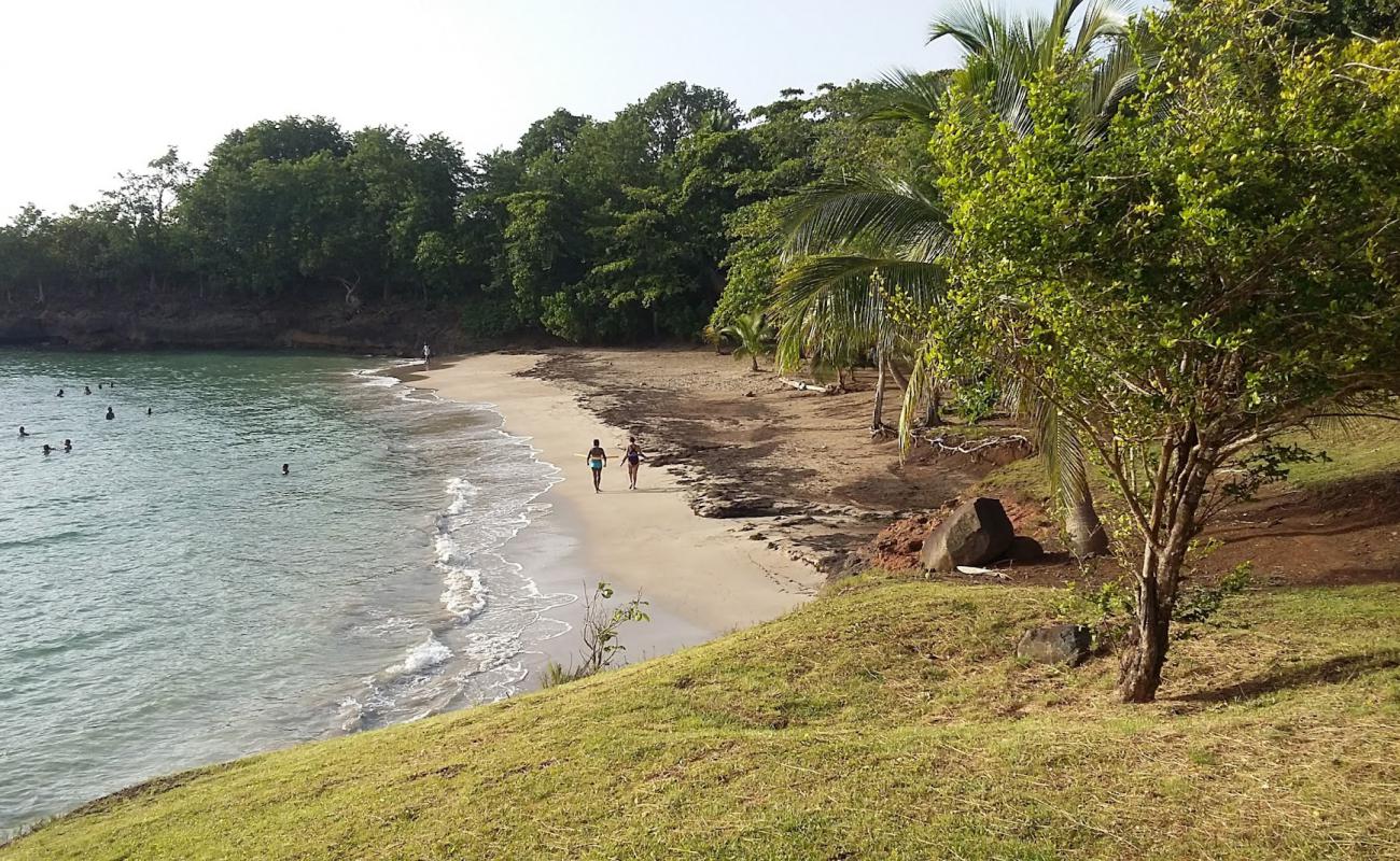 Plage Manbia'in fotoğrafı i̇nce kahverengi kum yüzey ile