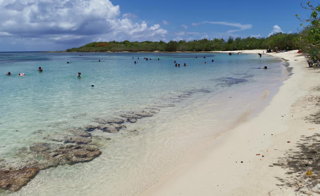 Plage d'Antigues'in fotoğrafı parlak ince kum yüzey ile