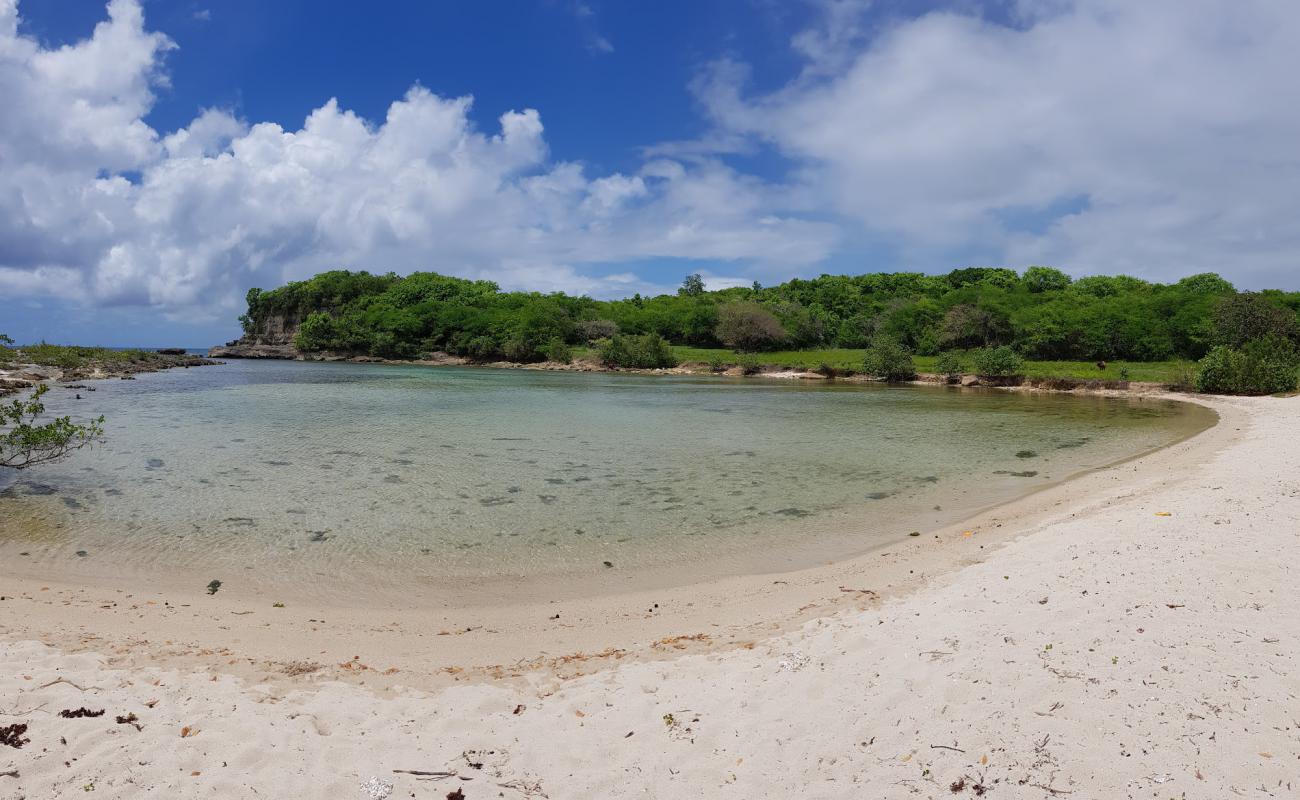 Anse Colas'in fotoğrafı i̇nce bej kum yüzey ile