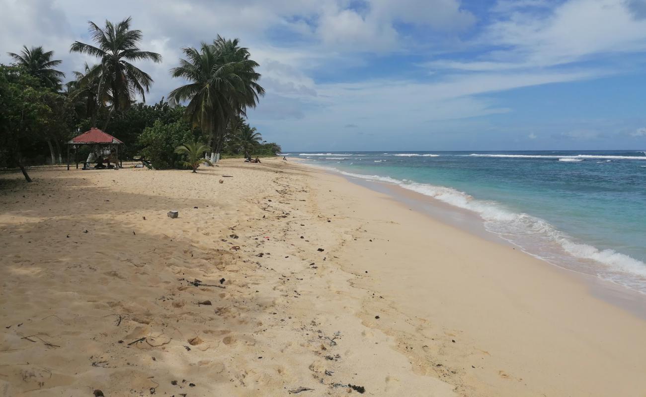 Plage de la chapelle'in fotoğrafı parlak ince kum yüzey ile