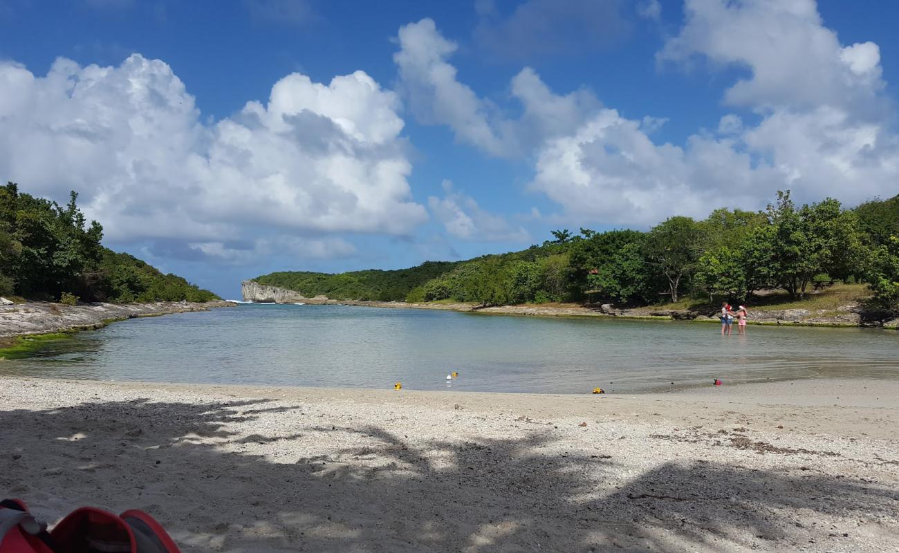 Plage de La Porte d'Enfer'in fotoğrafı parlak kum yüzey ile