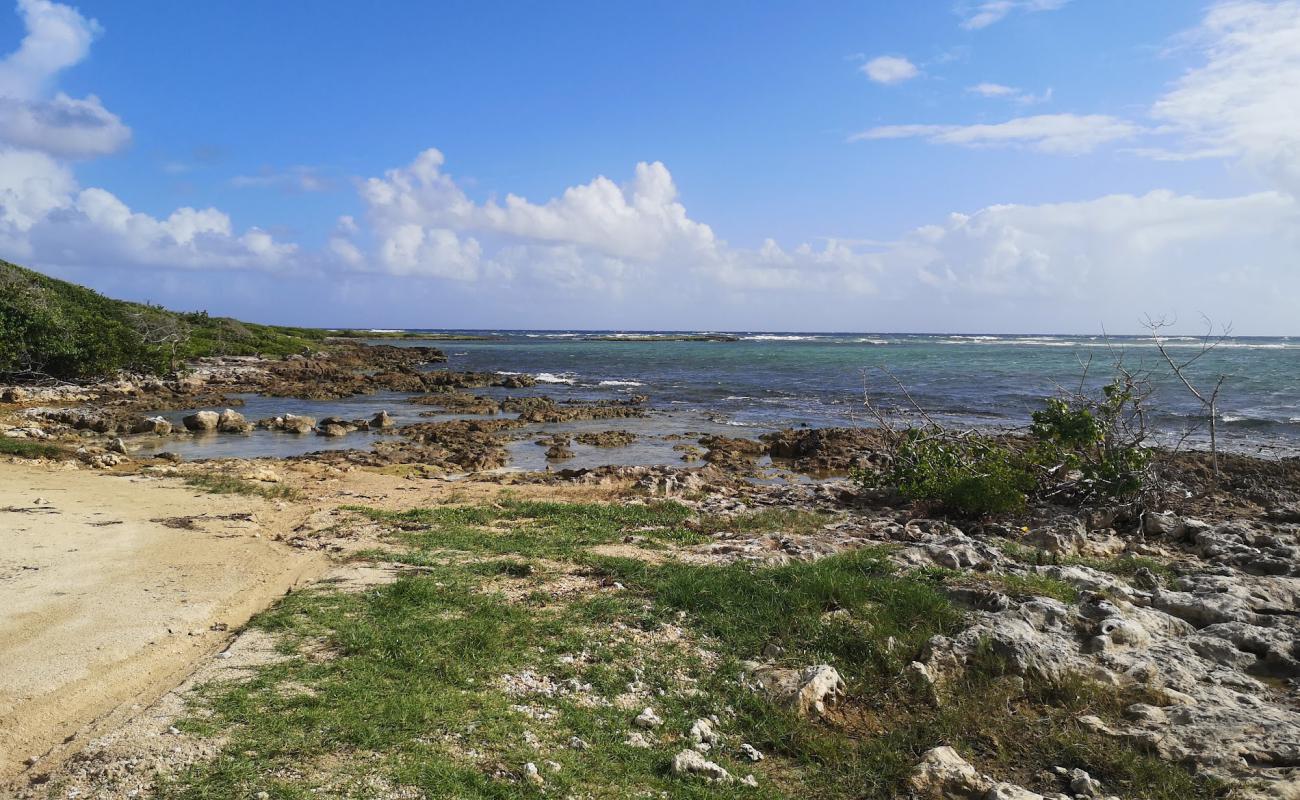 Plage De L'anse Ste Marguerite'in fotoğrafı kayalık arazi yüzey ile