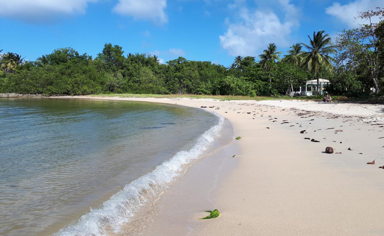 Plage de la Baie du nord ouest'in fotoğrafı parlak kum yüzey ile