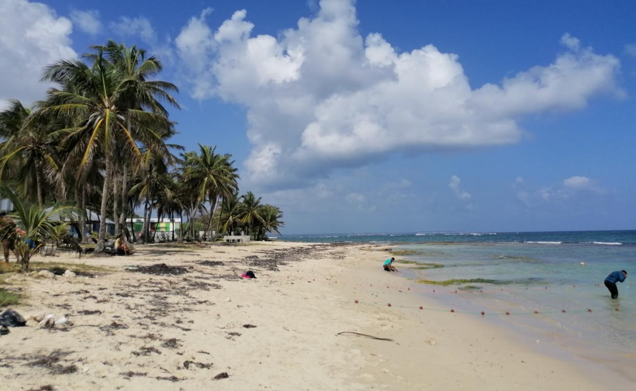 Plage de Montal'in fotoğrafı parlak kum ve kayalar yüzey ile