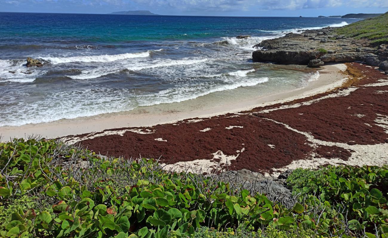 Plage des Rouleaux'in fotoğrafı açık bej kum yüzey ile