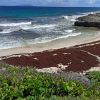 Plage des Rouleaux