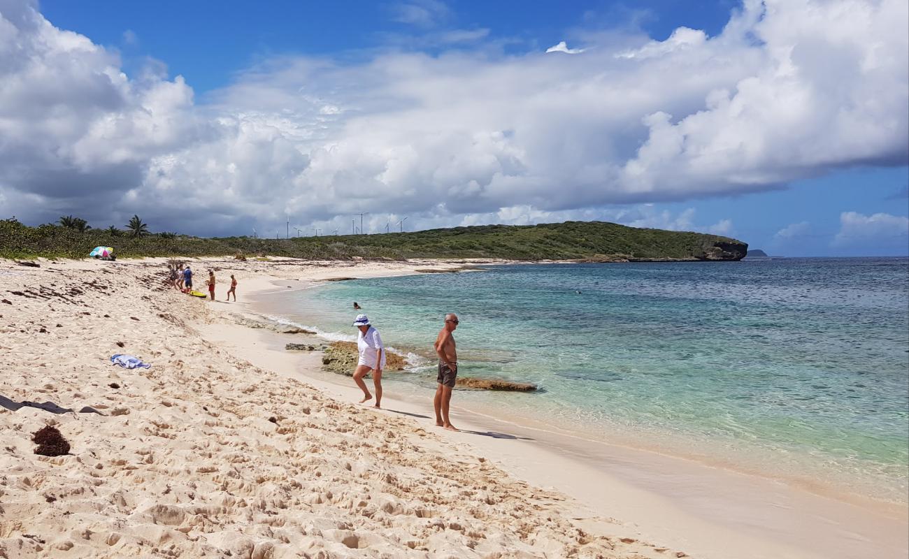 Plage d'Anse a la Gourde'in fotoğrafı parlak ince kum yüzey ile