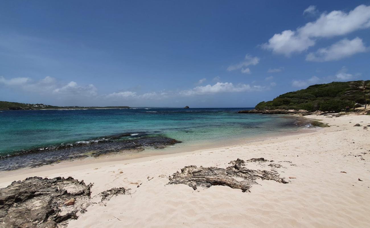 Pointe Tarare nudist Beach'in fotoğrafı açık bej kum yüzey ile
