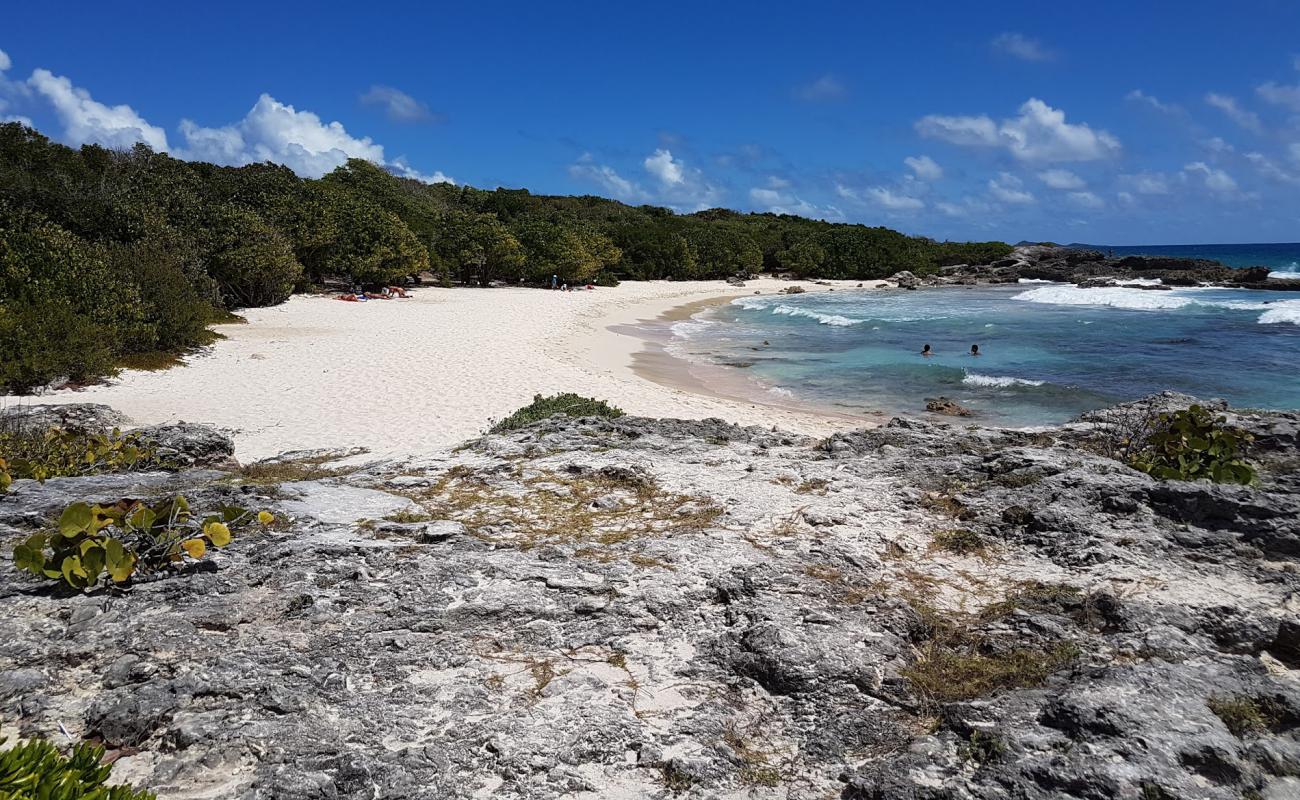 La Douche Beach'in fotoğrafı bej kum ve kayalar yüzey ile