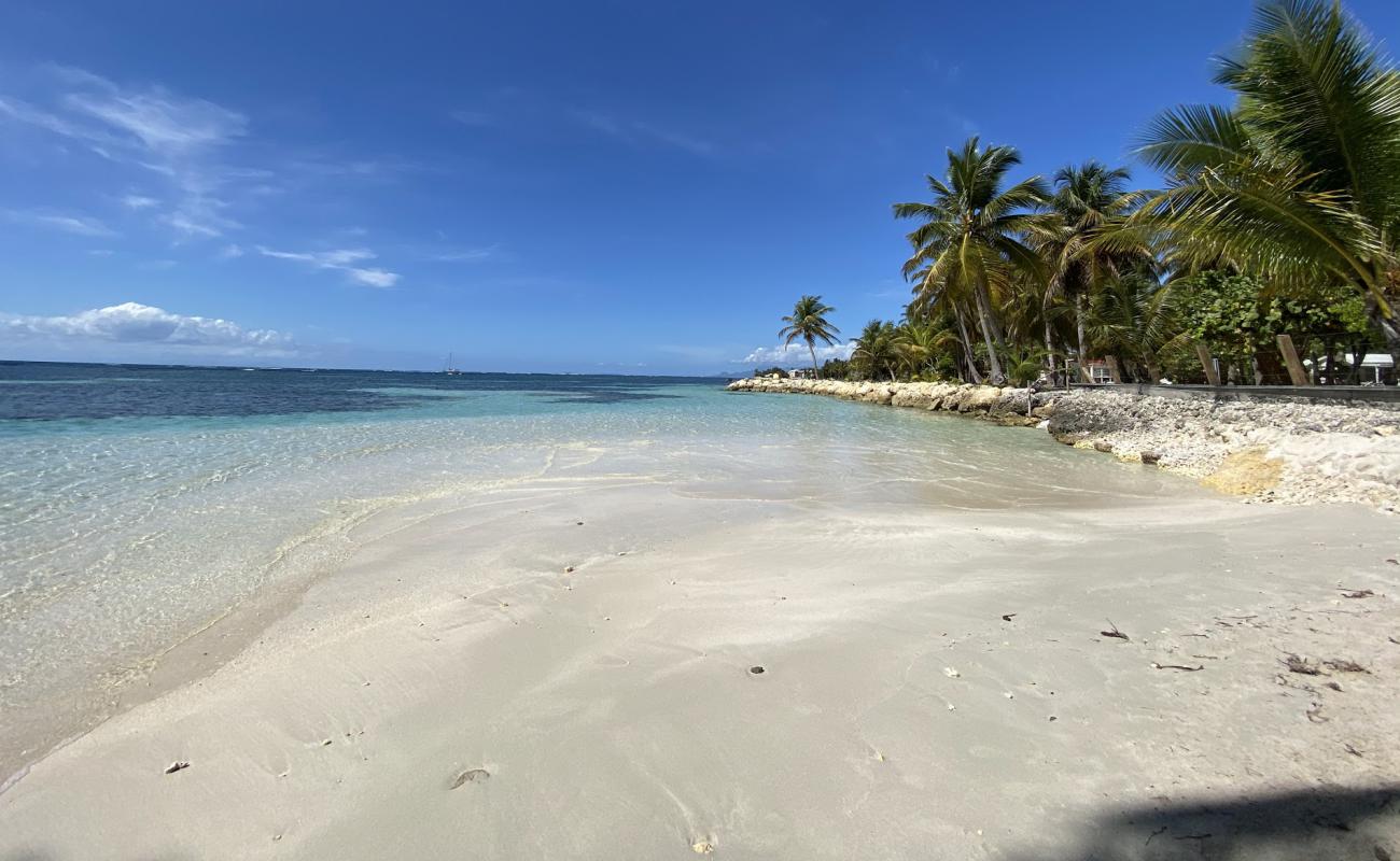 Anse du Belley Beach'in fotoğrafı açık bej kum yüzey ile
