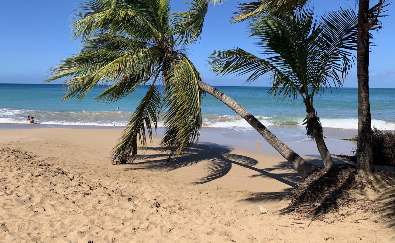 Plage de la Caravelle'in fotoğrafı açık bej kum yüzey ile