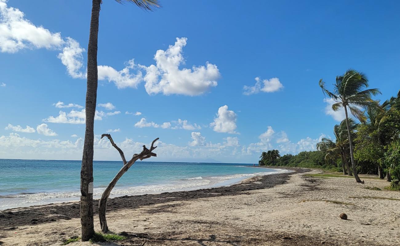 Plage des Salines'in fotoğrafı açık bej kum yüzey ile