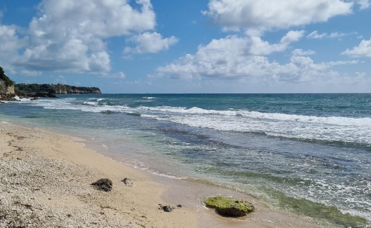 Pointe Canot Beach'in fotoğrafı çakıl ile kum yüzey ile