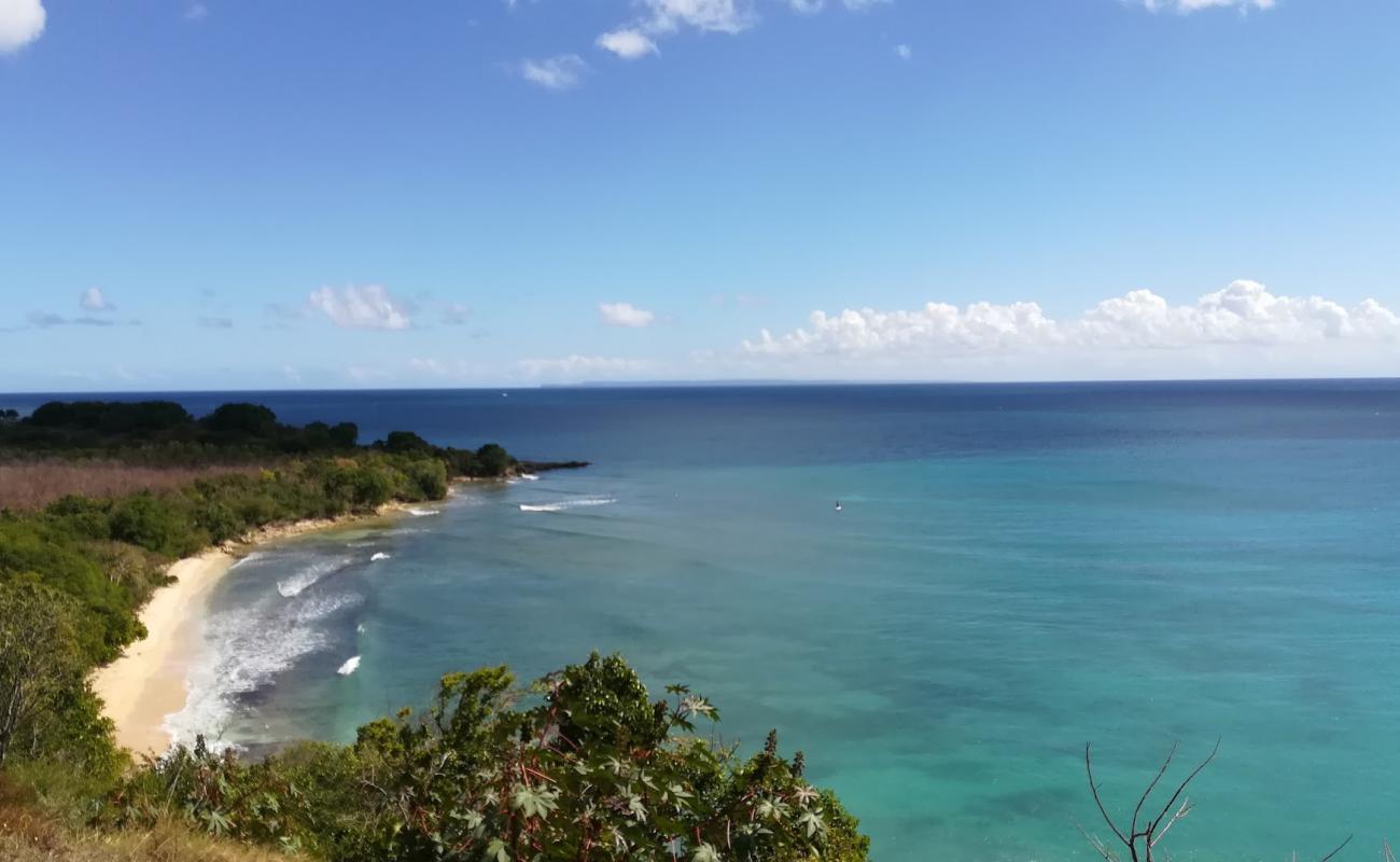 Le Gosier Beach'in fotoğrafı parlak kum yüzey ile