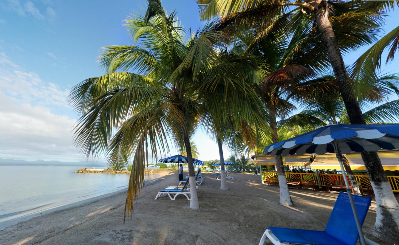 Canella Beach'in fotoğrafı i̇nce bej kum yüzey ile