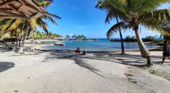 Plage de Bas du Fort