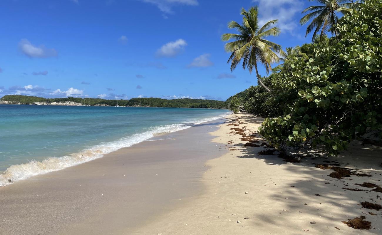 Plage Moustique'in fotoğrafı i̇nce bej kum yüzey ile