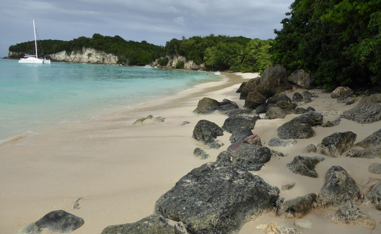 Marie Galante beach'in fotoğrafı i̇nce bej kum yüzey ile
