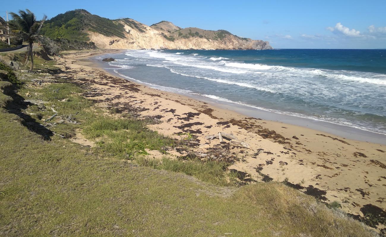 Plage de Grande Anse'in fotoğrafı açık bej kum yüzey ile