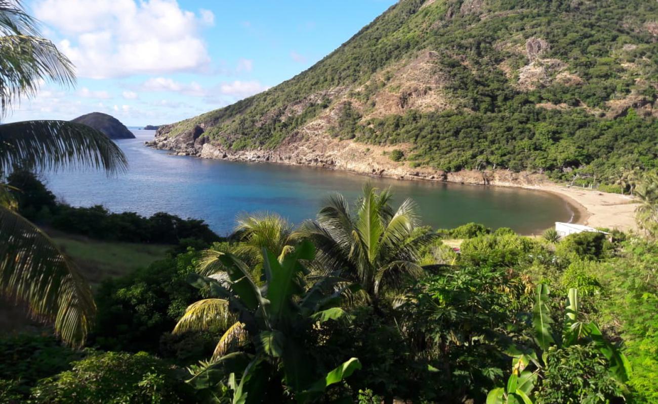 Plage de l'anse figuier'in fotoğrafı açık bej kum yüzey ile