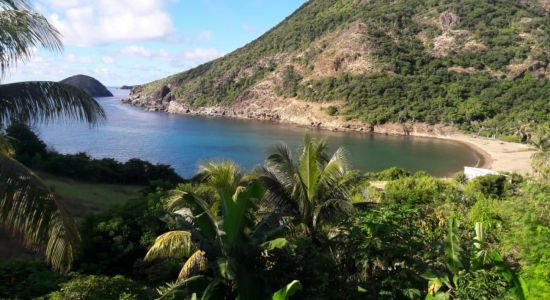 Plage de l'anse figuier