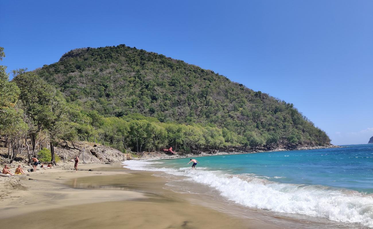 Plage de l'Anse Crawen'in fotoğrafı açık bej kum yüzey ile
