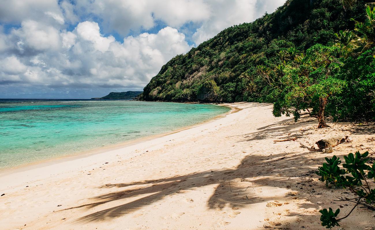 Shark Cove Beach'in fotoğrafı parlak kum ve kayalar yüzey ile