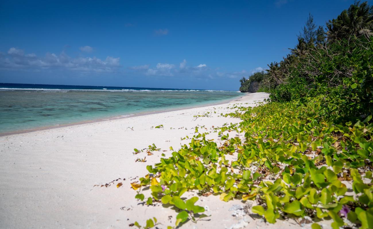 Coco Palm Beach'in fotoğrafı parlak kum ve kayalar yüzey ile