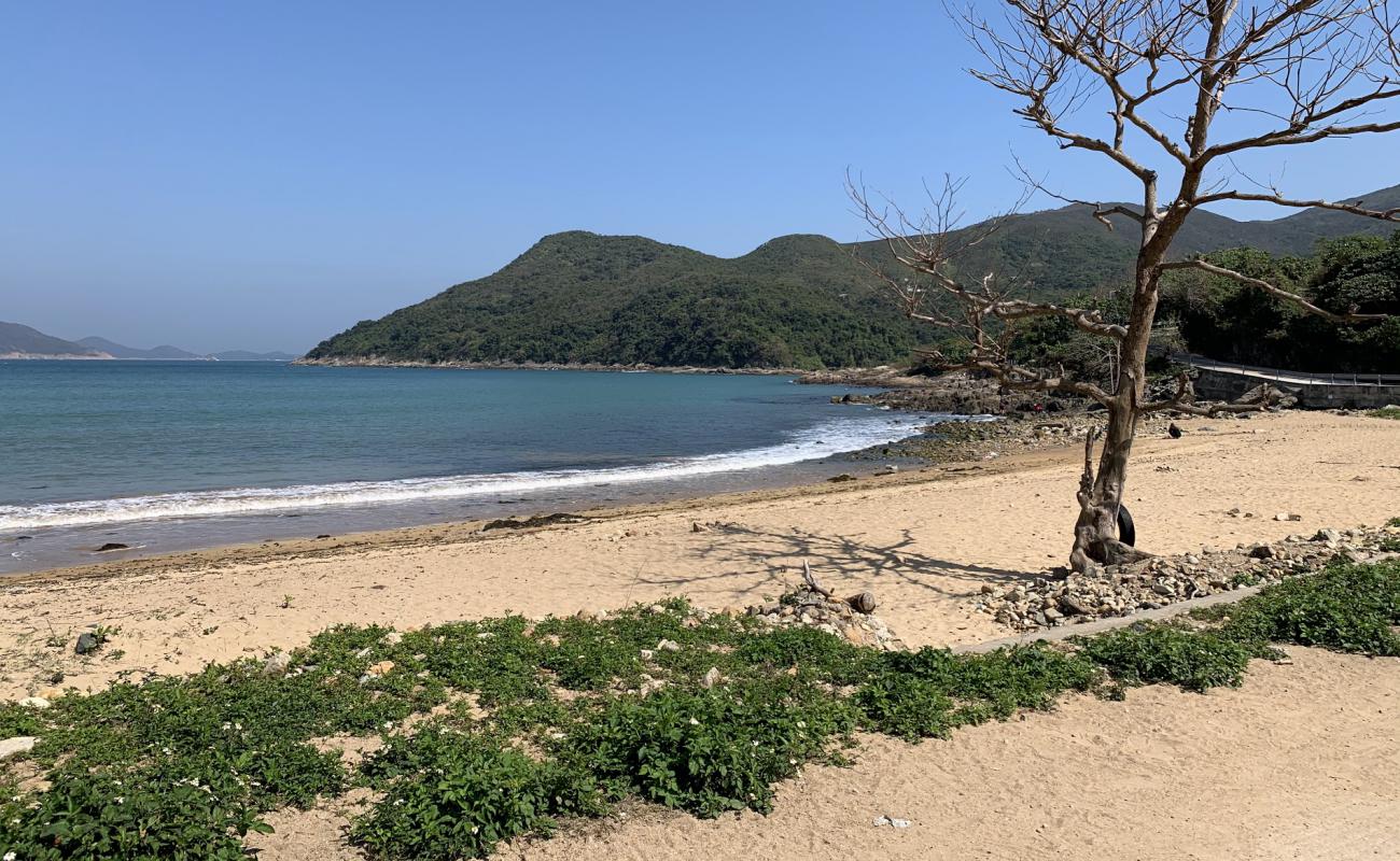 Sheung Sze Wan Beach'in fotoğrafı bej kum ve kayalar yüzey ile